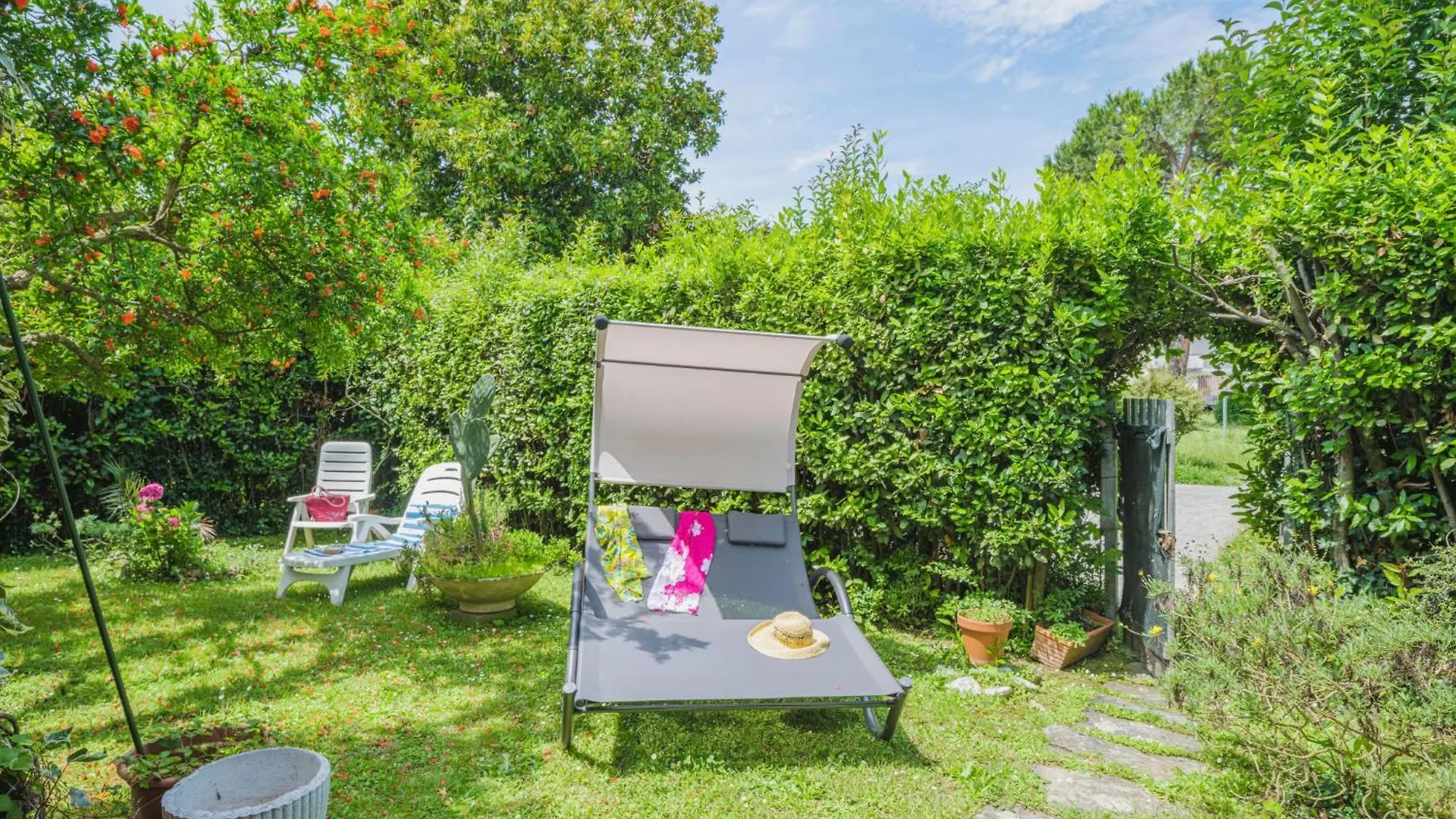 Apartment Cristina By Interhome Pietrasanta